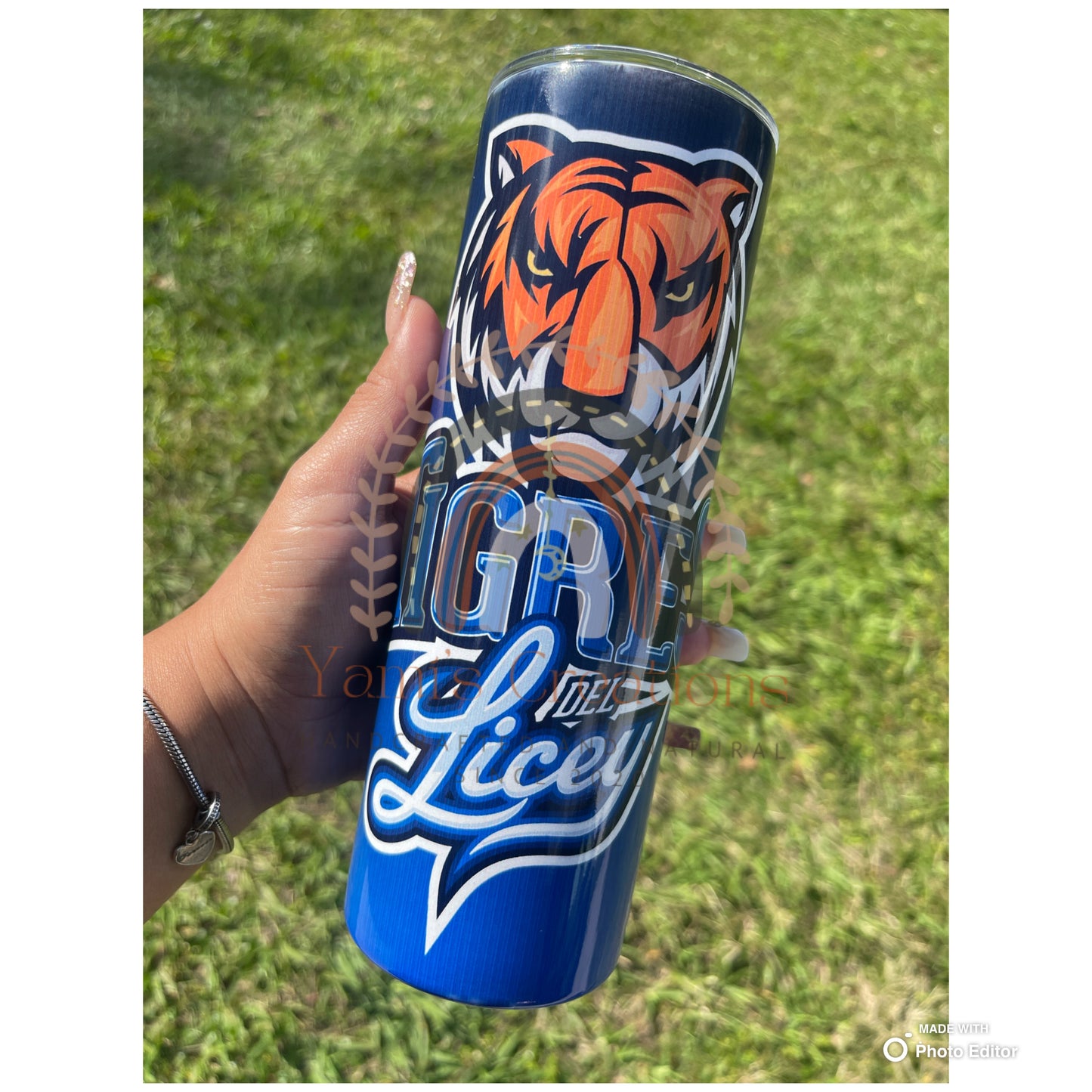 Tigres del Licey
