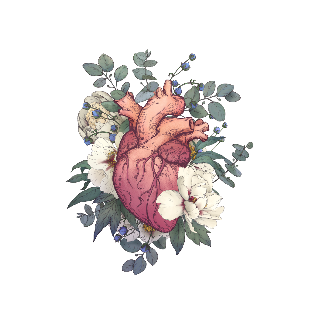 Corazon - Eucalipto - Sticker - 3"