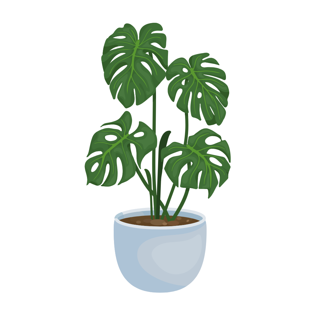 Monstera - Sticker - 3"