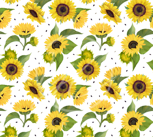 Girasol