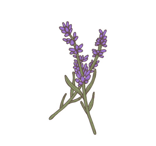 Lavanda - Mini Sticker - 1.5"