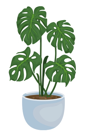 Monstera - Sticker - 1.5"